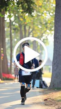 BIB:  <button type="button" onclick="openModal(27593413)" class="btn btn-primary btn-sm float-right" data-toggle="modal" data-target=".modal-high-quality">
                <i class="fa fa-download"></i> Download
                </button>